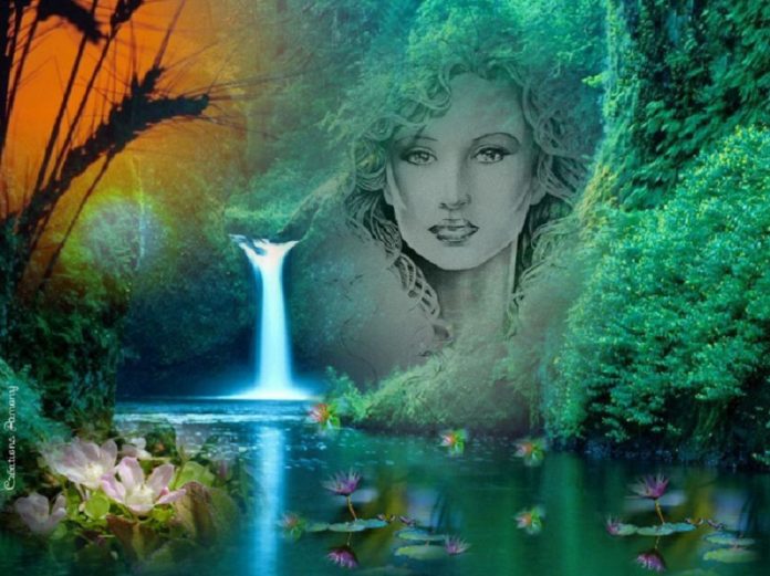 terre mere percetion